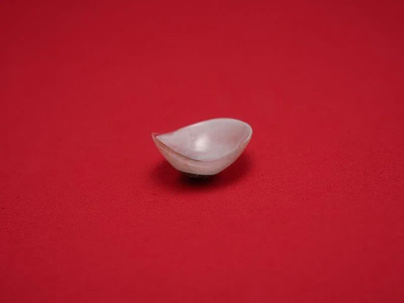 Imagem Ilustrando Aprotética