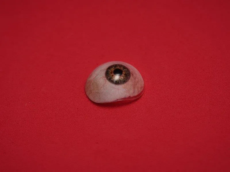 Imagem Ilustrando Aprotética